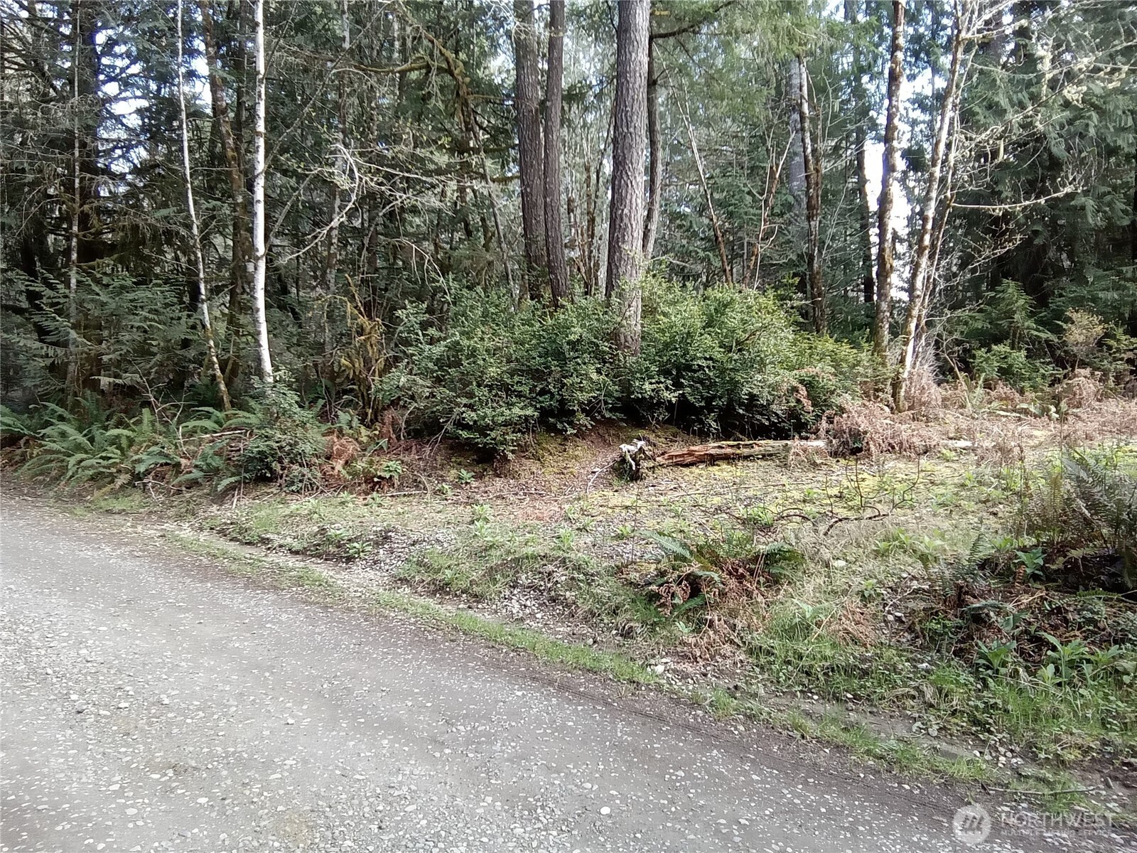 581 East Murray Road North Grapeview, WA 98546 - Photo 11 of 31 Gallery Image 11