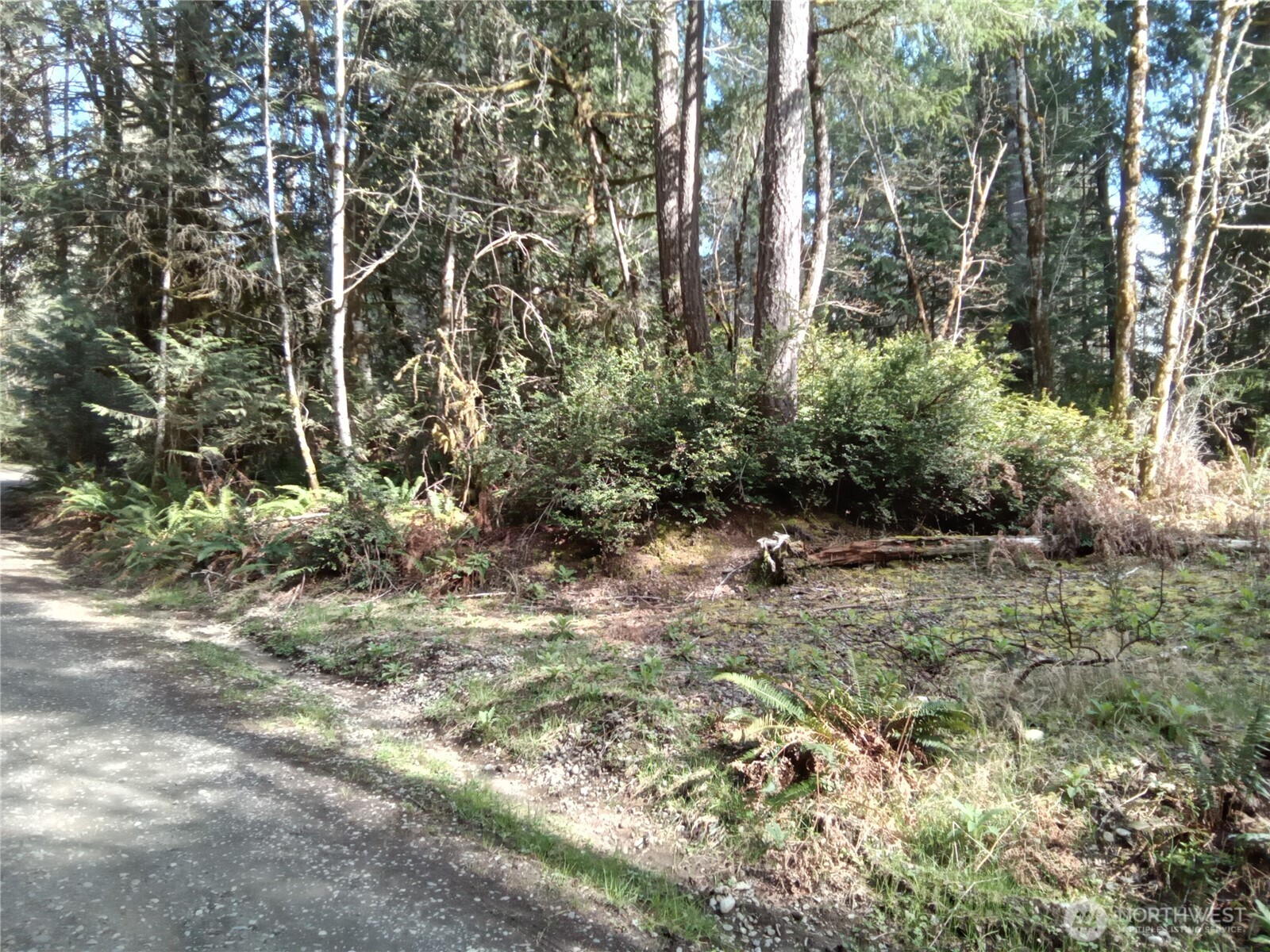 581 East Murray Road North Grapeview, WA 98546 - Photo 12 of 31 Gallery Image 12