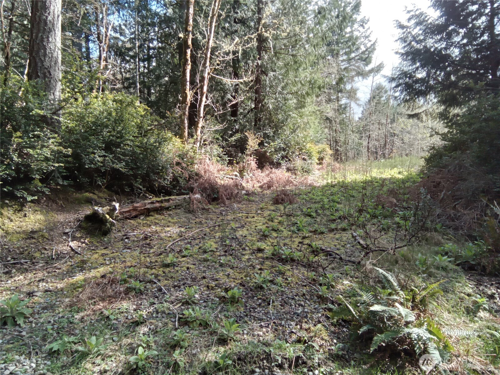 581 East Murray Road North Grapeview, WA 98546 - Photo 13 of 31 Gallery Image 13