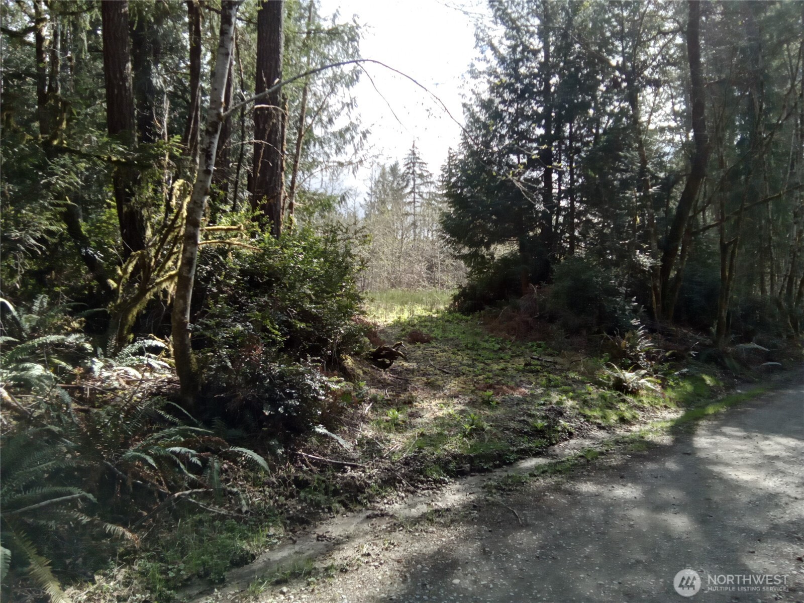 581 East Murray Road North Grapeview, WA 98546 - Photo 14 of 31 Gallery Image 14