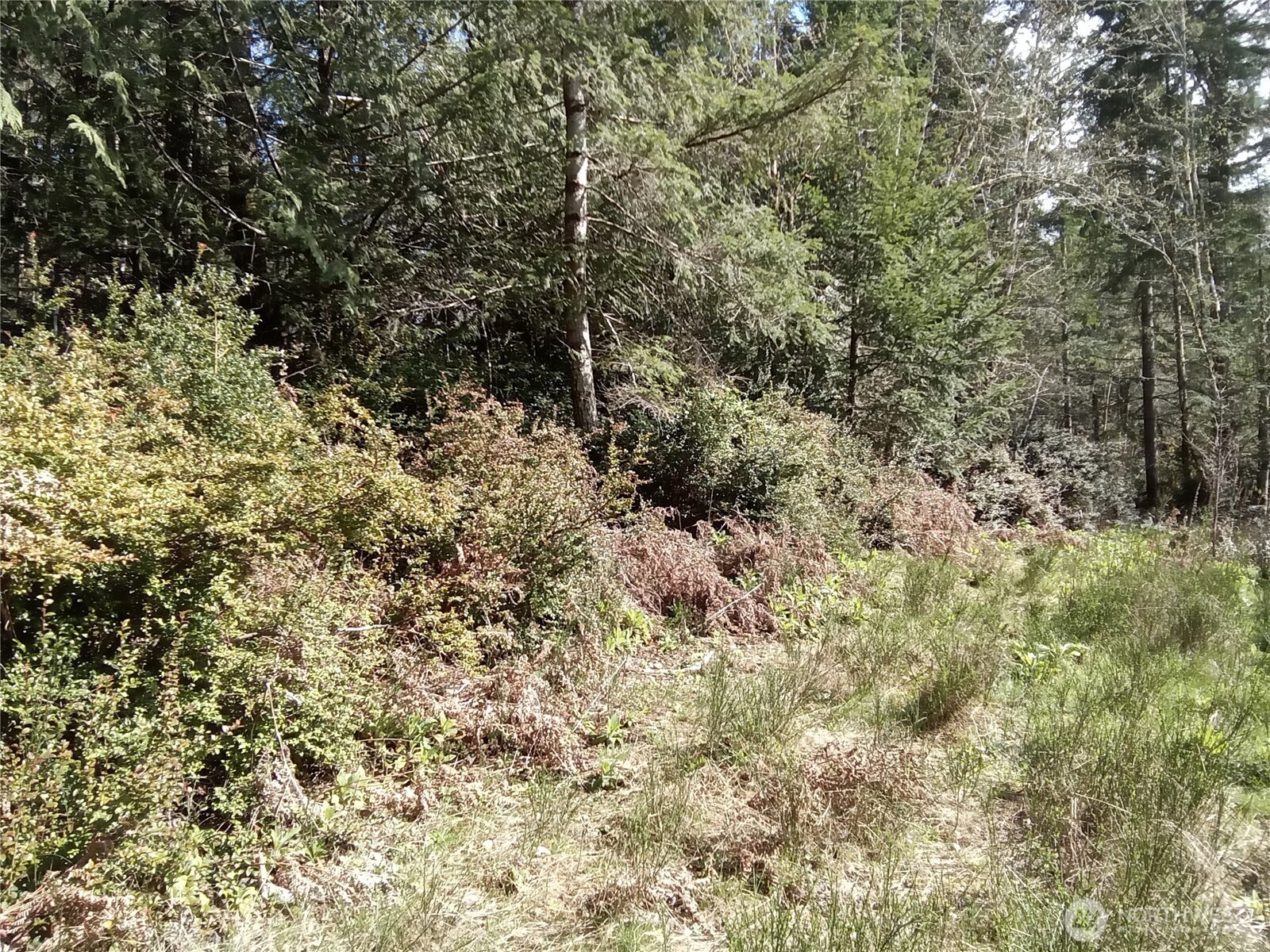 581 East Murray Road North Grapeview, WA 98546 - Photo 16 of 31 Gallery Image 16