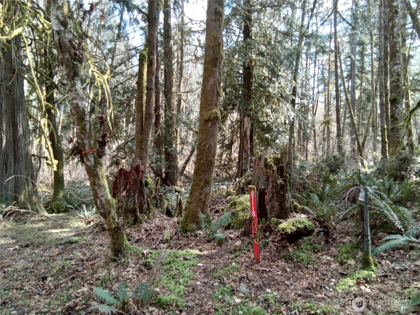 581 East Murray Road North Grapeview, WA 98546 - Photo 17 of 31 Gallery Image 17