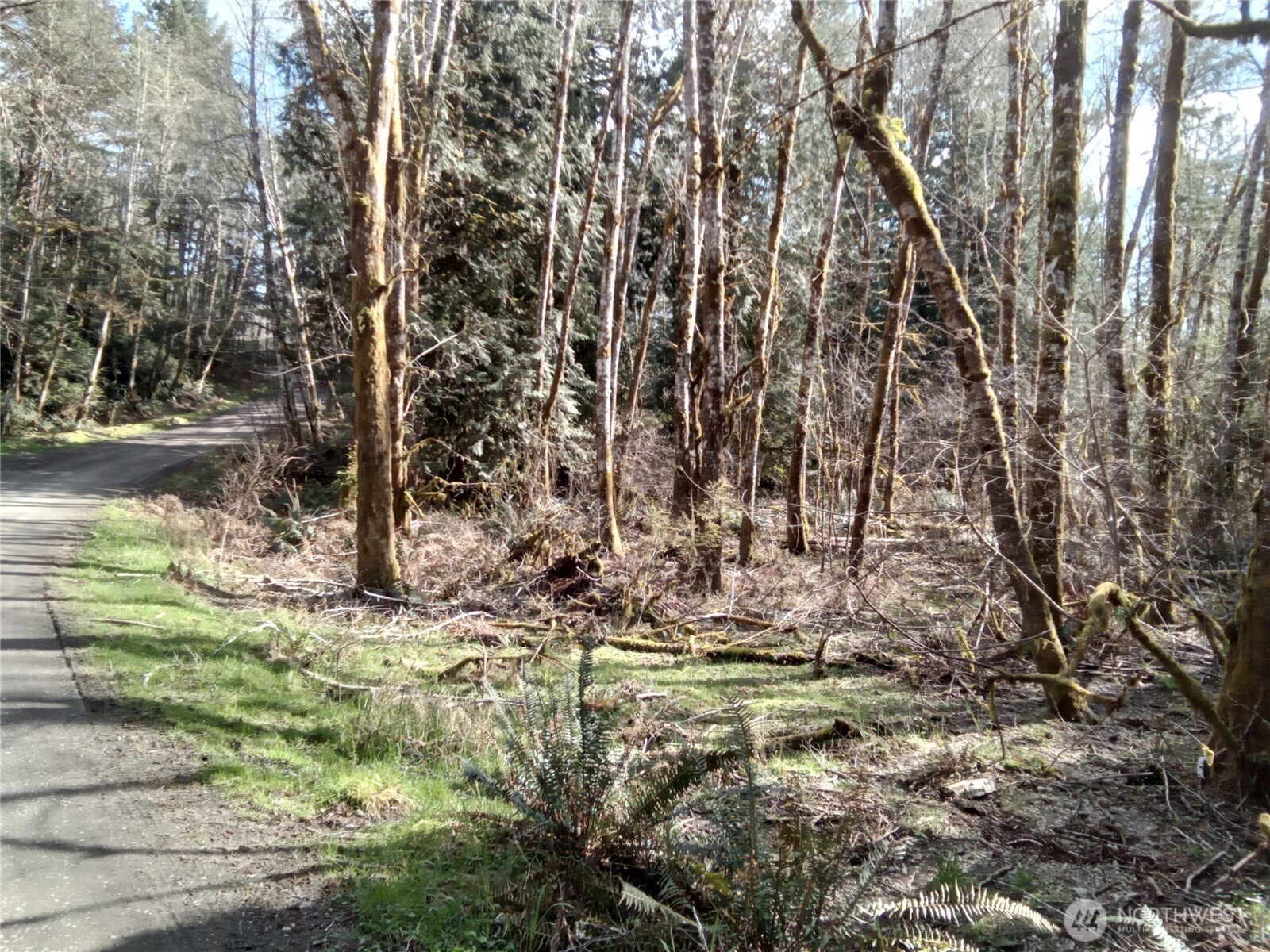 581 East Murray Road North Grapeview, WA 98546 - Photo 19 of 31 Gallery Image 19