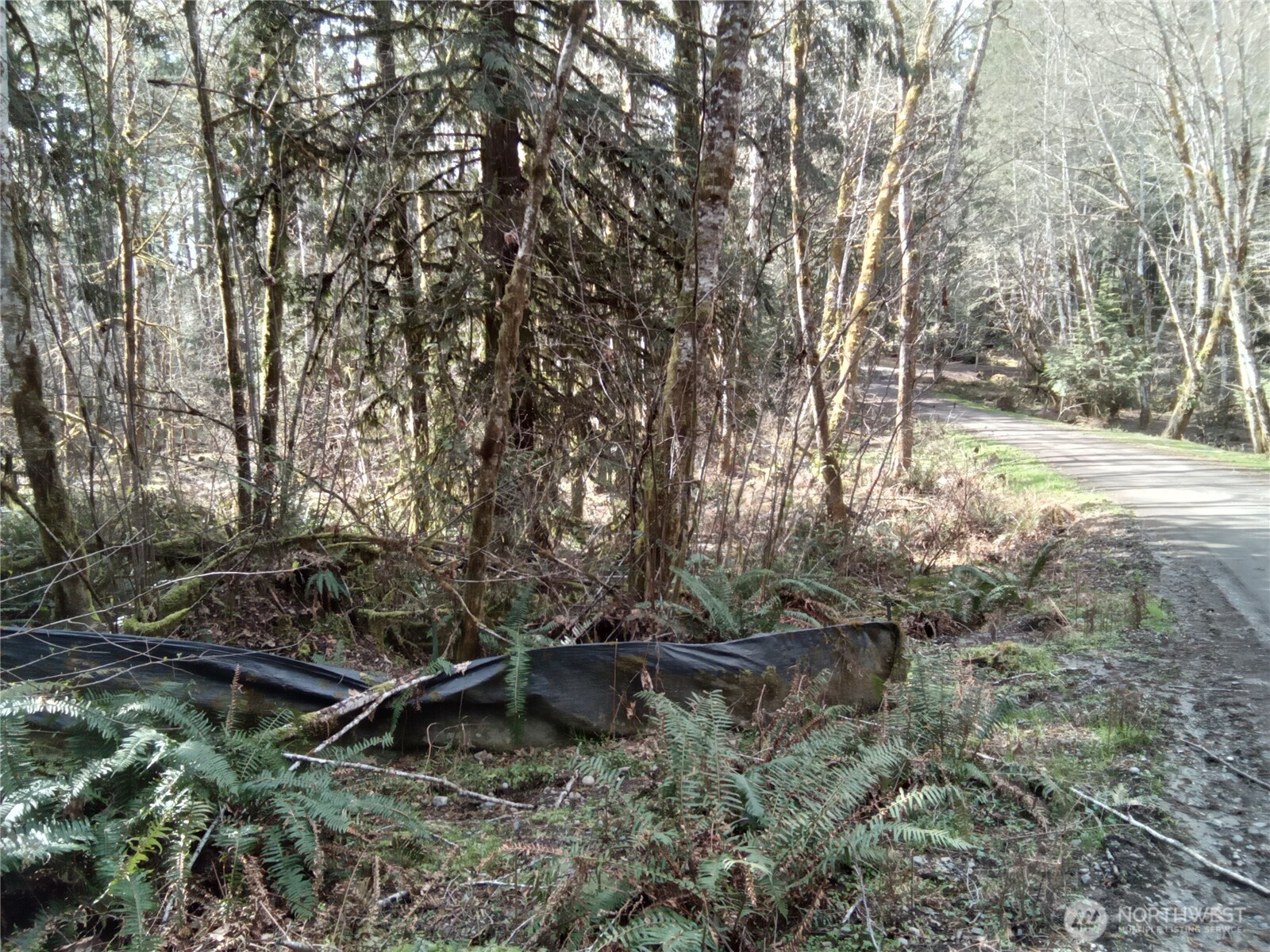 581 East Murray Road North Grapeview, WA 98546 - Photo 20 of 31 Gallery Image 20