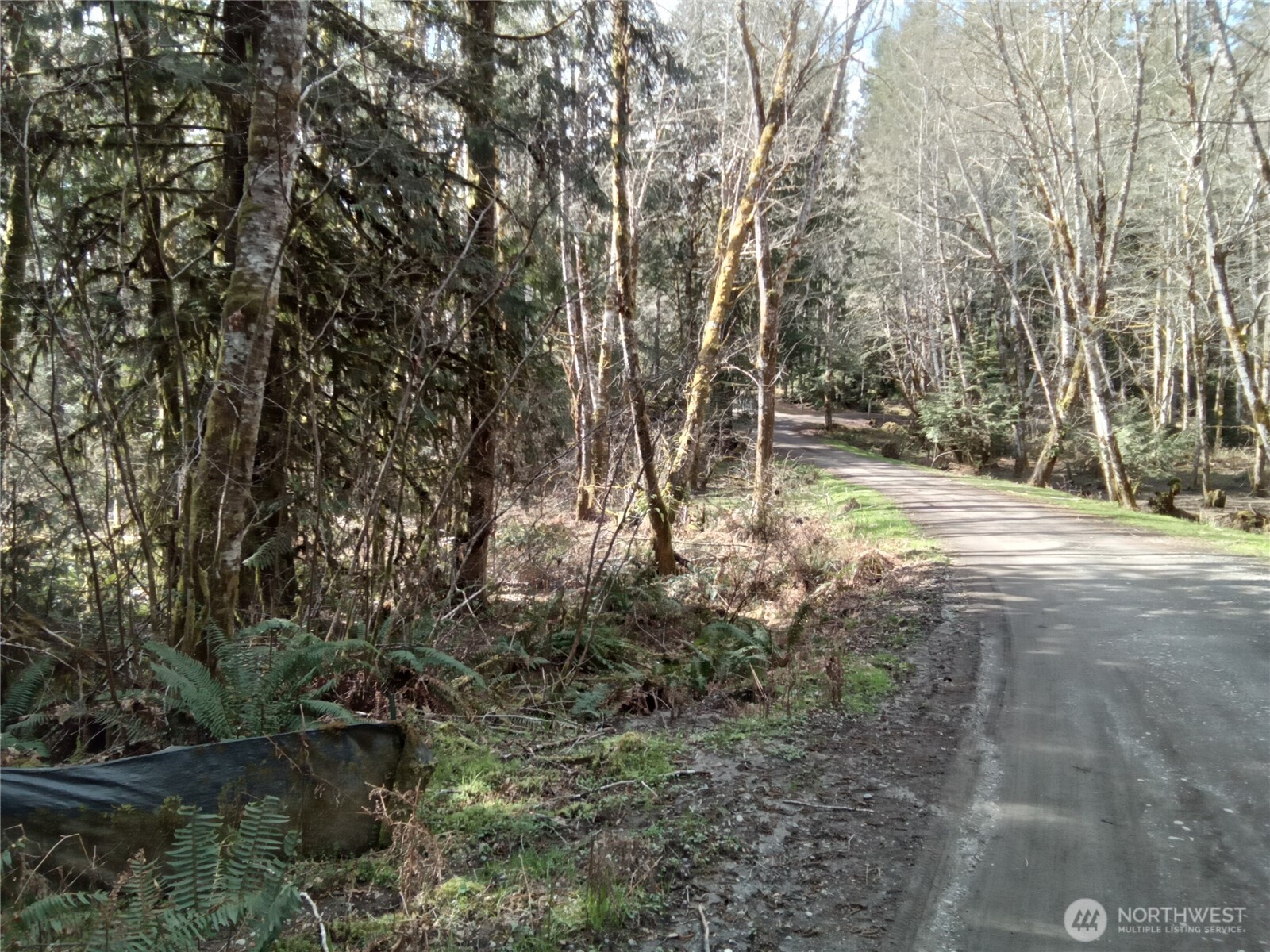 581 East Murray Road North Grapeview, WA 98546 - Photo 21 of 31 Gallery Image 21