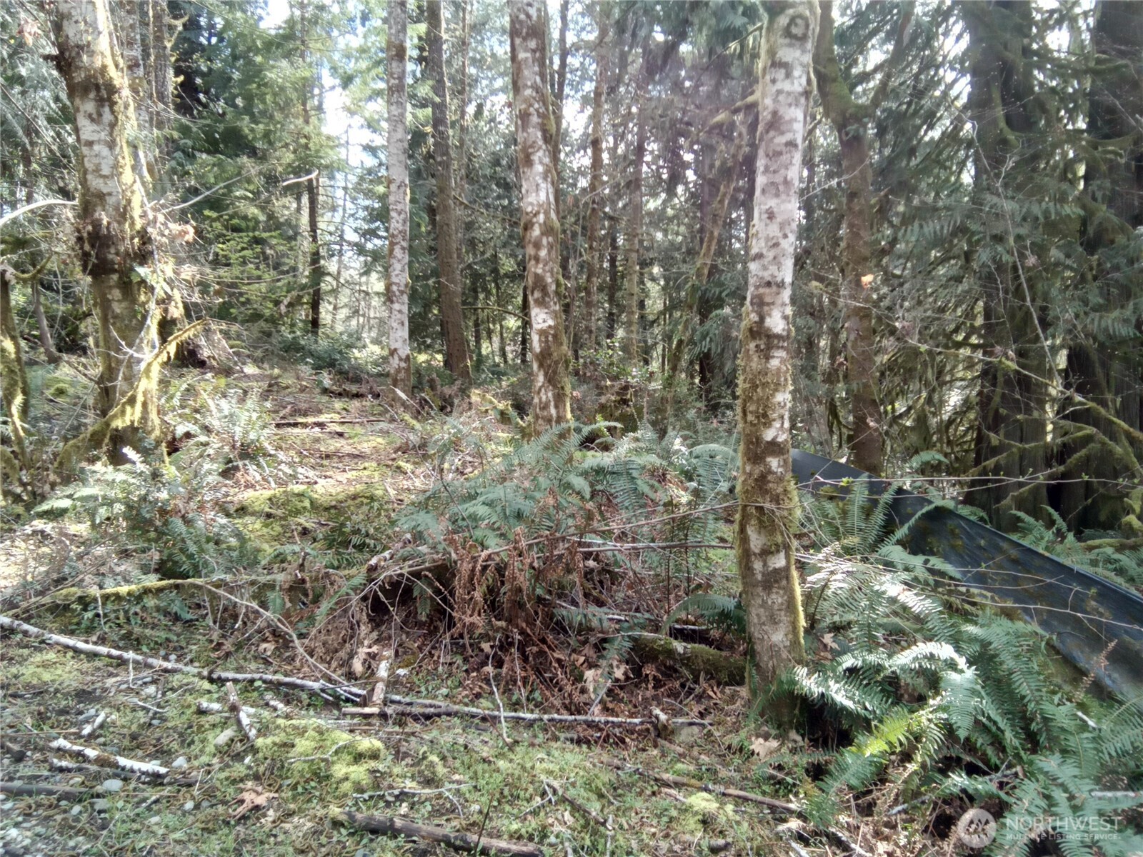 581 East Murray Road North Grapeview, WA 98546 - Photo 22 of 31 Gallery Image 22