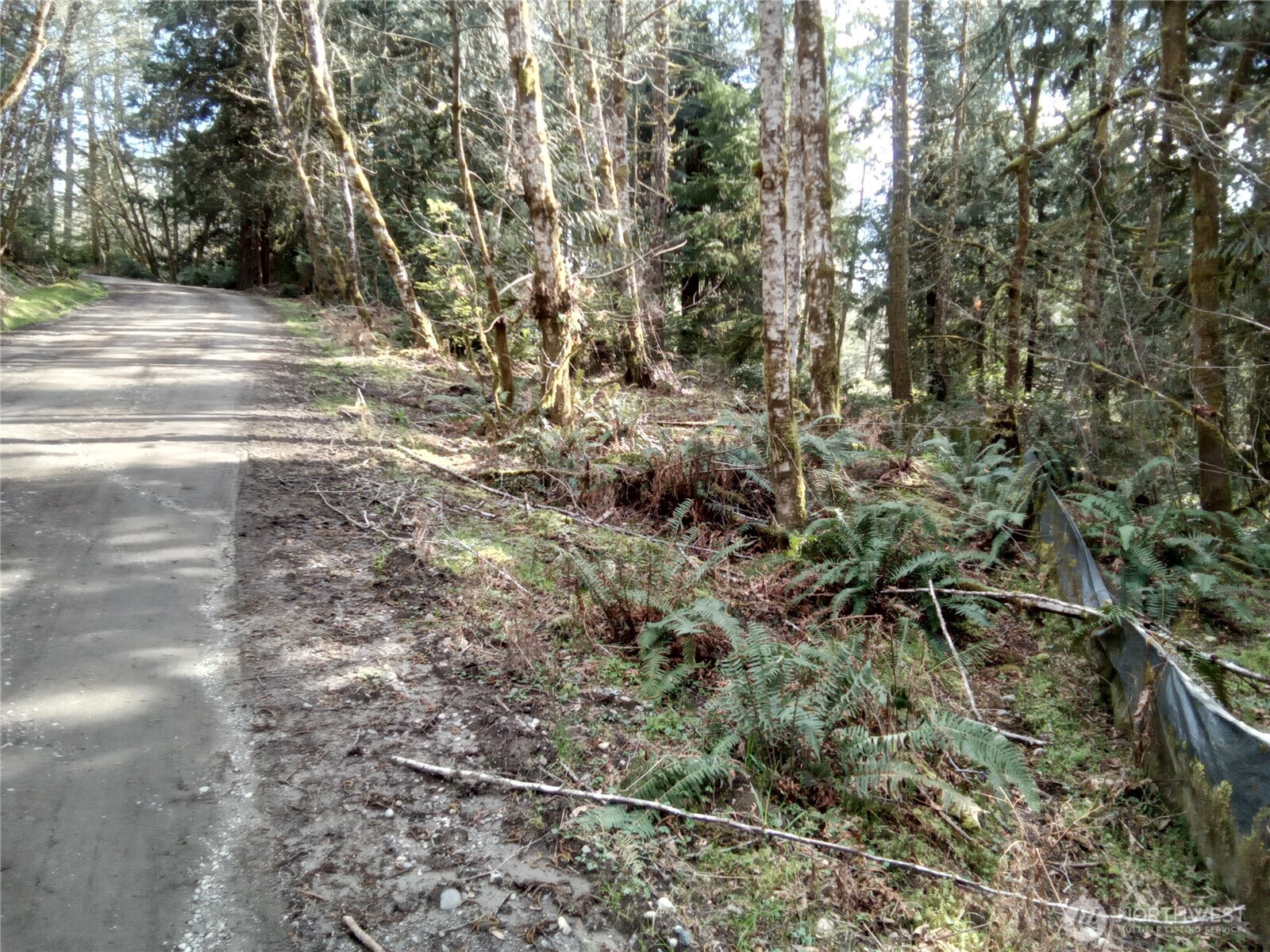 581 East Murray Road North Grapeview, WA 98546 - Photo 23 of 31 Gallery Image 23