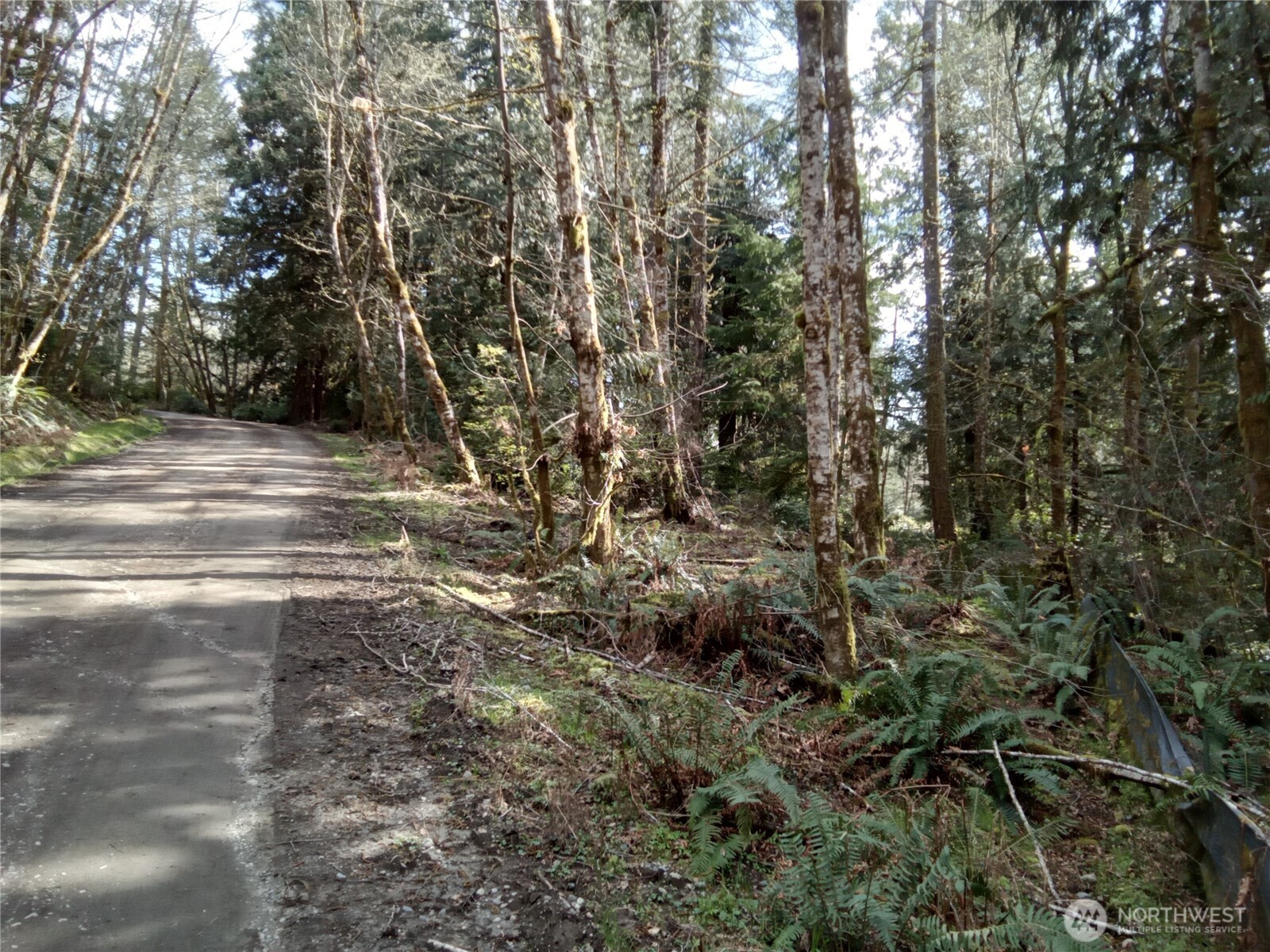 581 East Murray Road North Grapeview, WA 98546 - Photo 24 of 31 Gallery Image 24