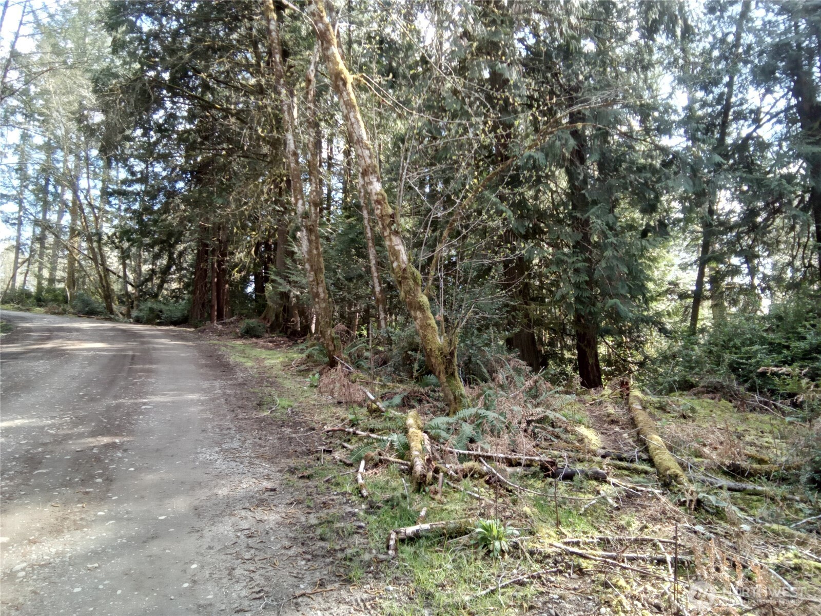 581 East Murray Road North Grapeview, WA 98546 - Photo 25 of 31 Gallery Image 25