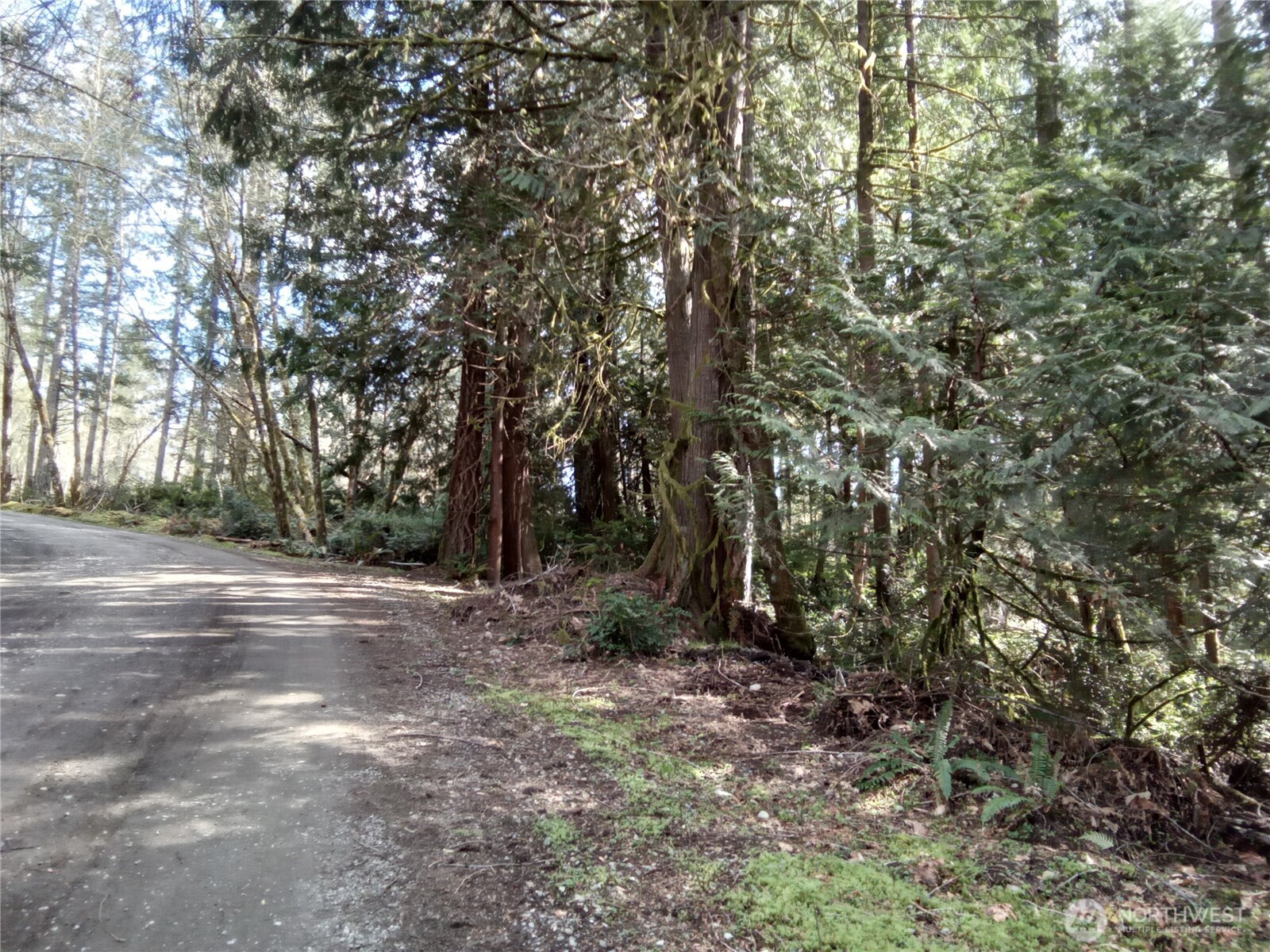 581 East Murray Road North Grapeview, WA 98546 - Photo 26 of 31 Gallery Image 26