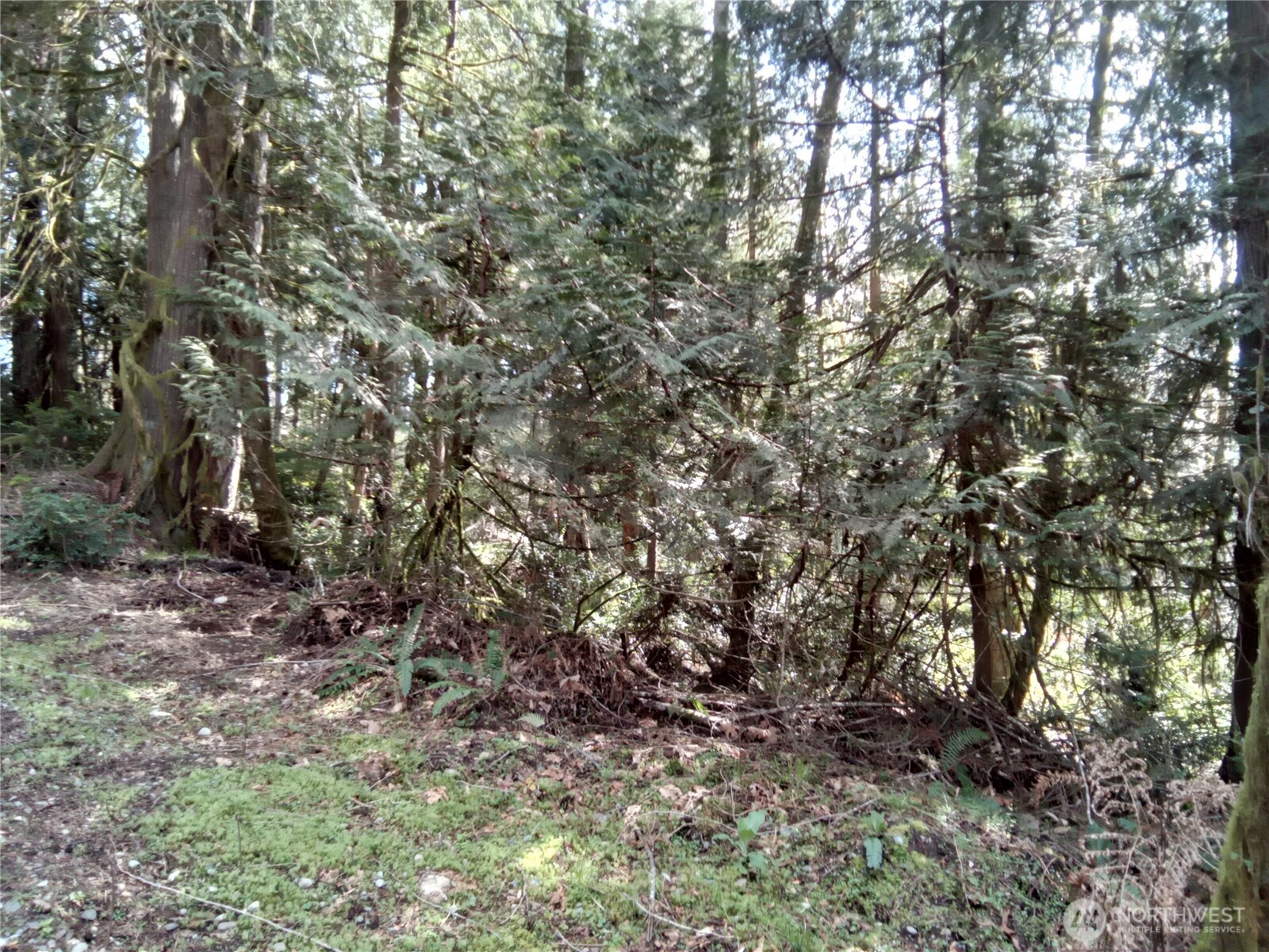 581 East Murray Road North Grapeview, WA 98546 - Photo 27 of 31 Gallery Image 27