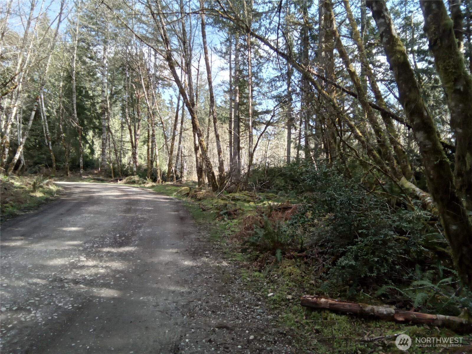 581 East Murray Road North Grapeview, WA 98546 - Photo 29 of 31 Gallery Image 29
