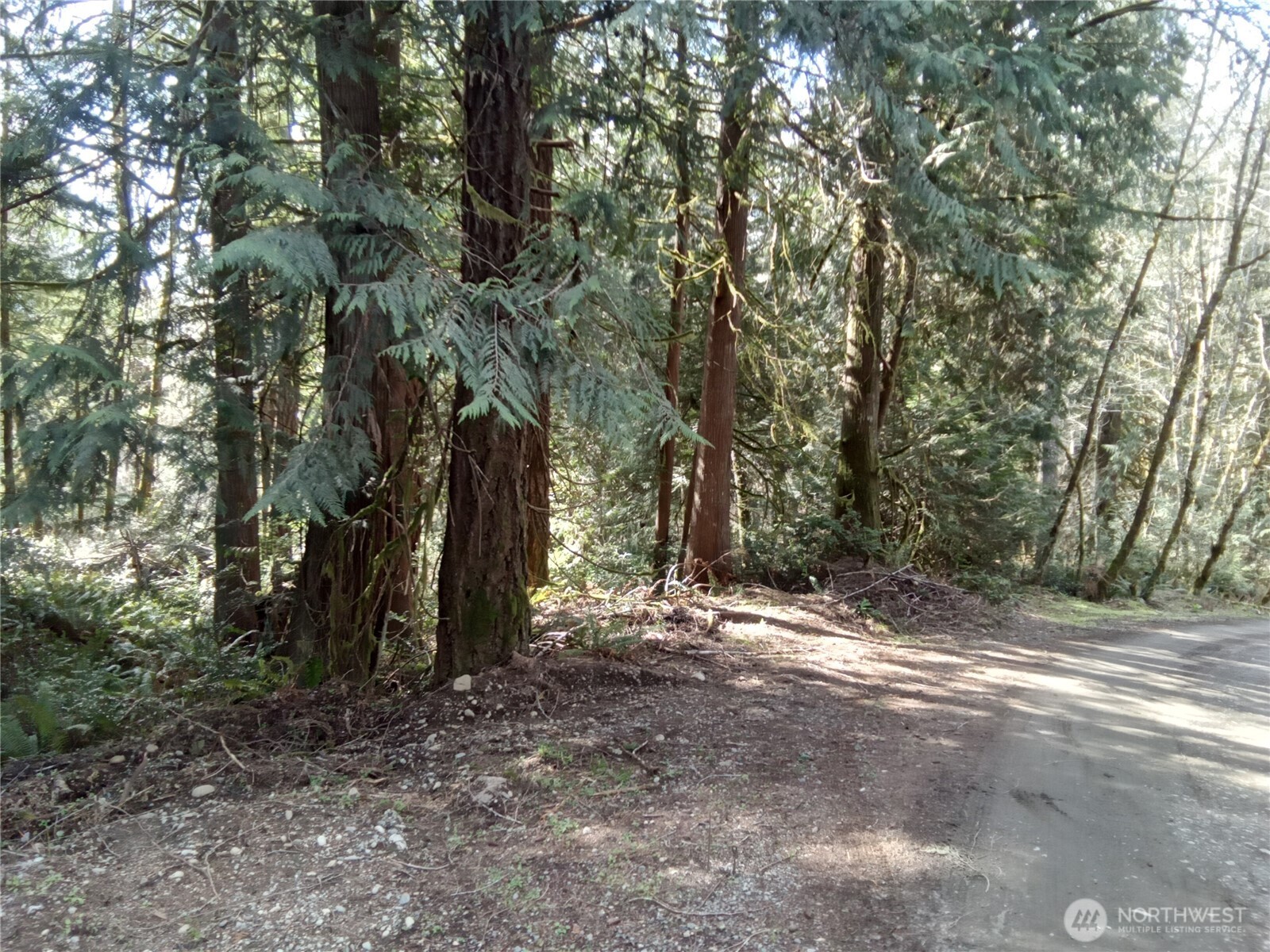 581 East Murray Road North Grapeview, WA 98546 - Photo 31 of 31 Gallery Image 31