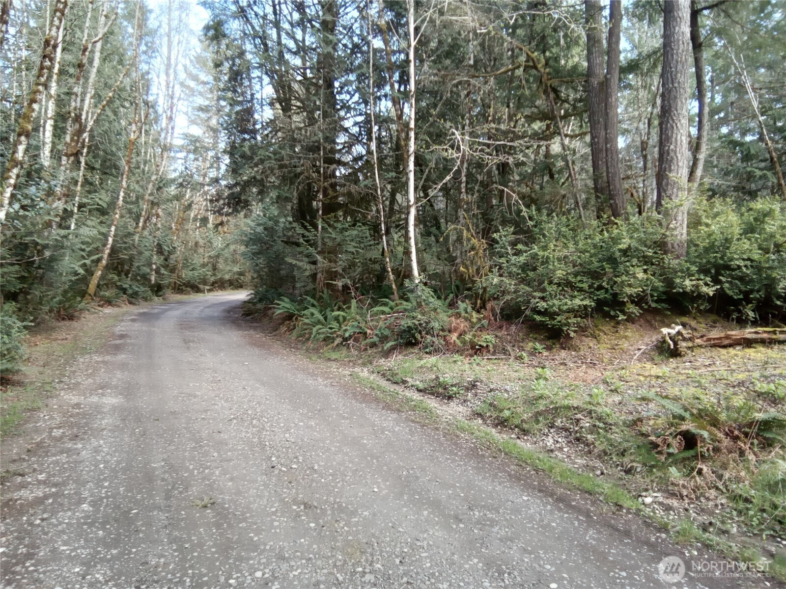 581 East Murray Road North Grapeview, WA 98546 - Photo 9 of 31 Gallery Image 9