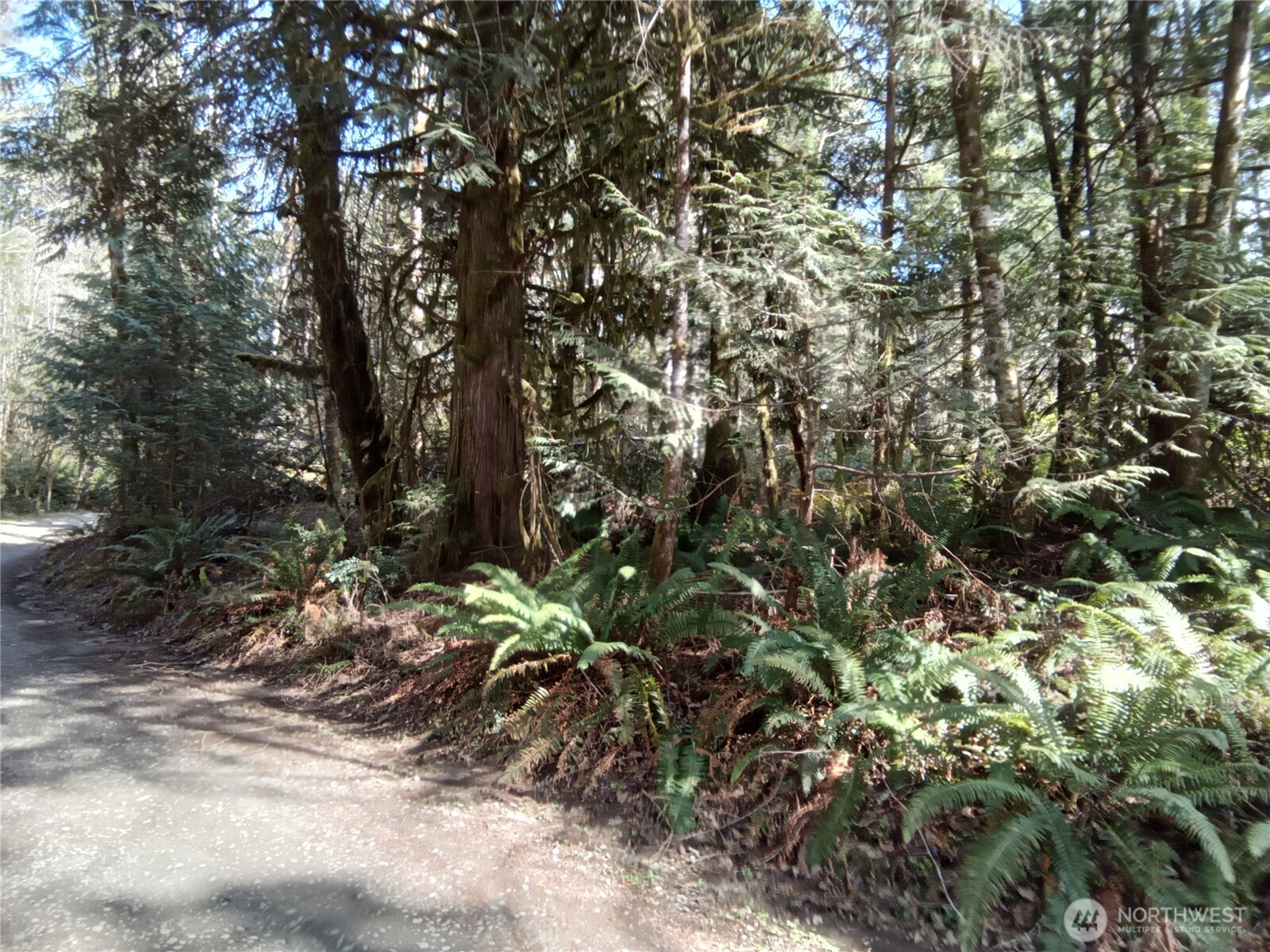 581 East Murray Road North Grapeview, WA 98546 - Photo 10 of 31 Gallery Image 10