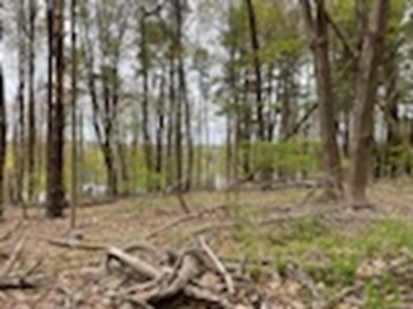 20 Spring Street Ipswich, MA 01938 - Photo 26 of 27 Gallery Image 26