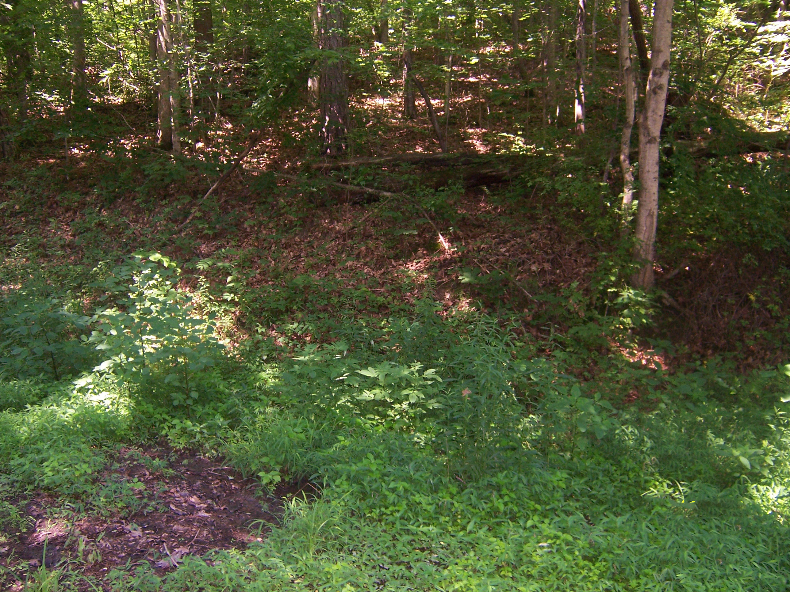 Lonesome Dove Road Powell, TN 37849 - Photo 1 of 3 Lonesome Dove