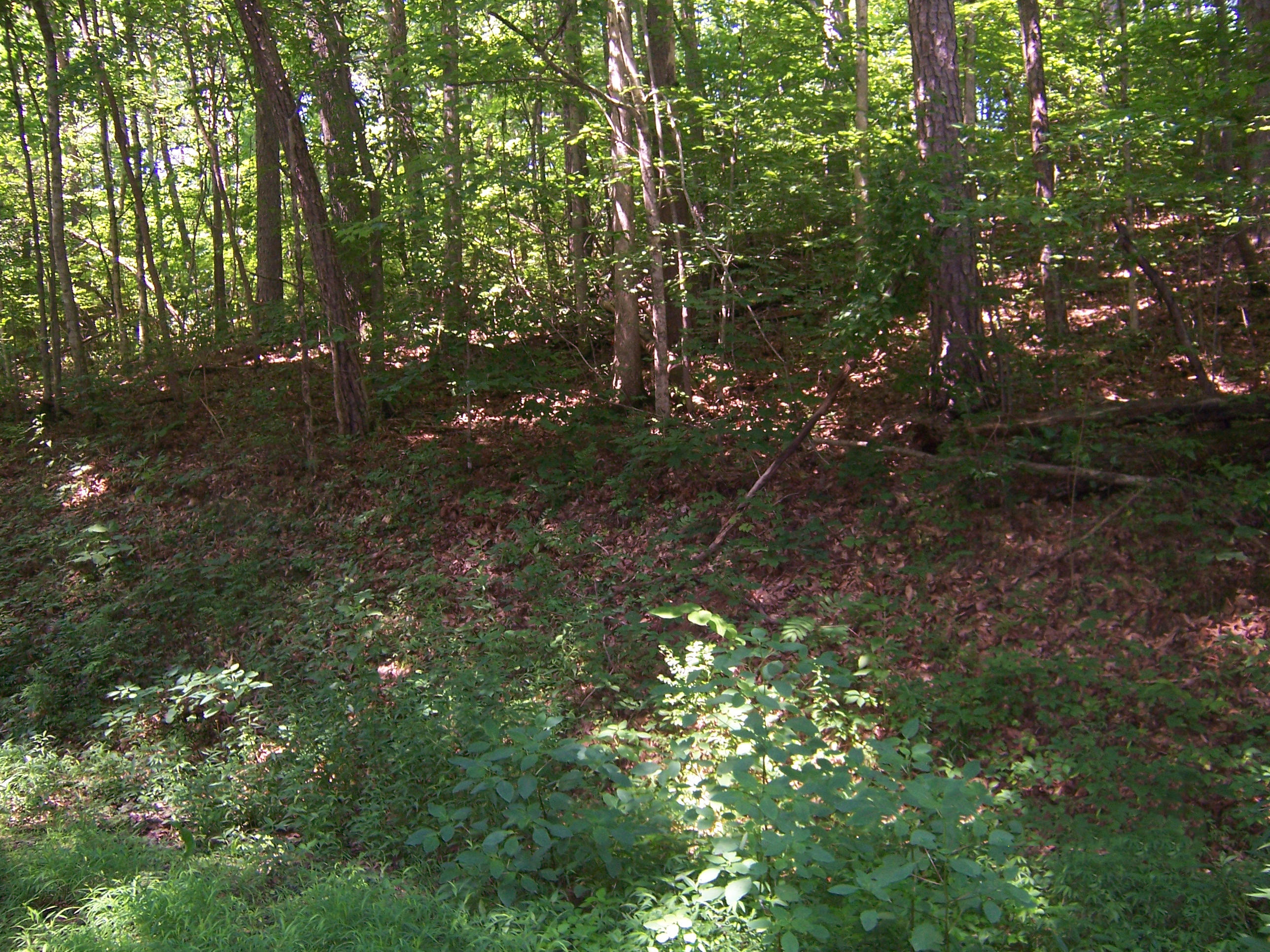 Lonesome Dove Road Powell, TN 37849 - Photo 2 of 3 Lonesome Dove