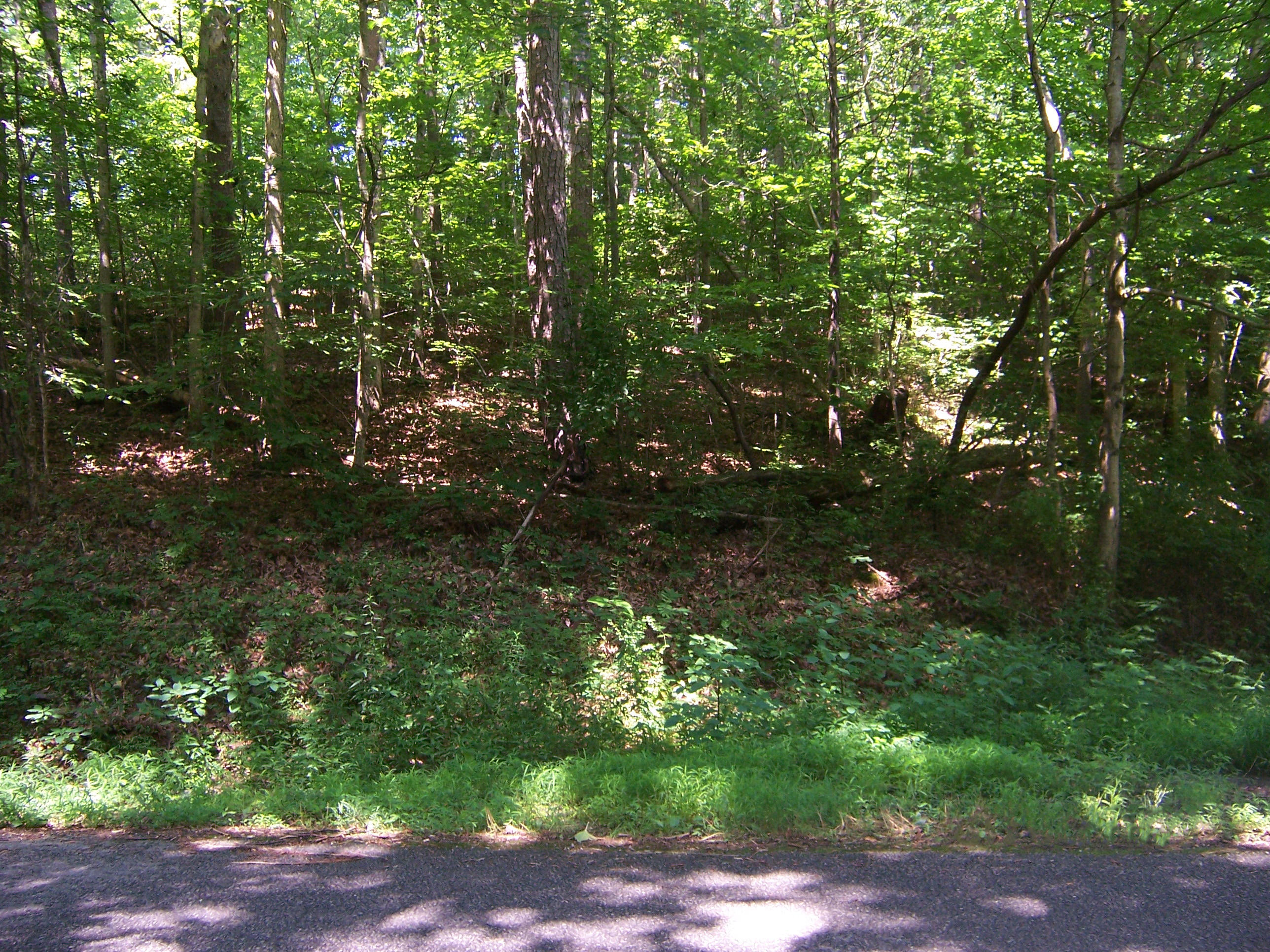 Lonesome Dove Road Powell, TN 37849 - Photo 3 of 3 Lonesome Dove