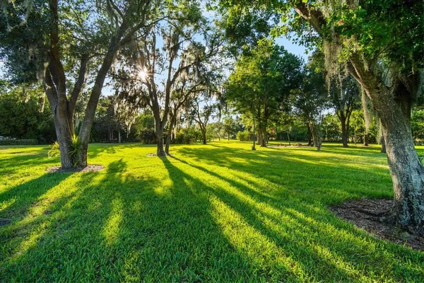 $1,950,000 | 11441 Hammock Oaks Court, Lithia, FL 33547