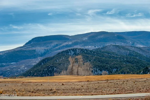 a view of a backyard with wooden fence