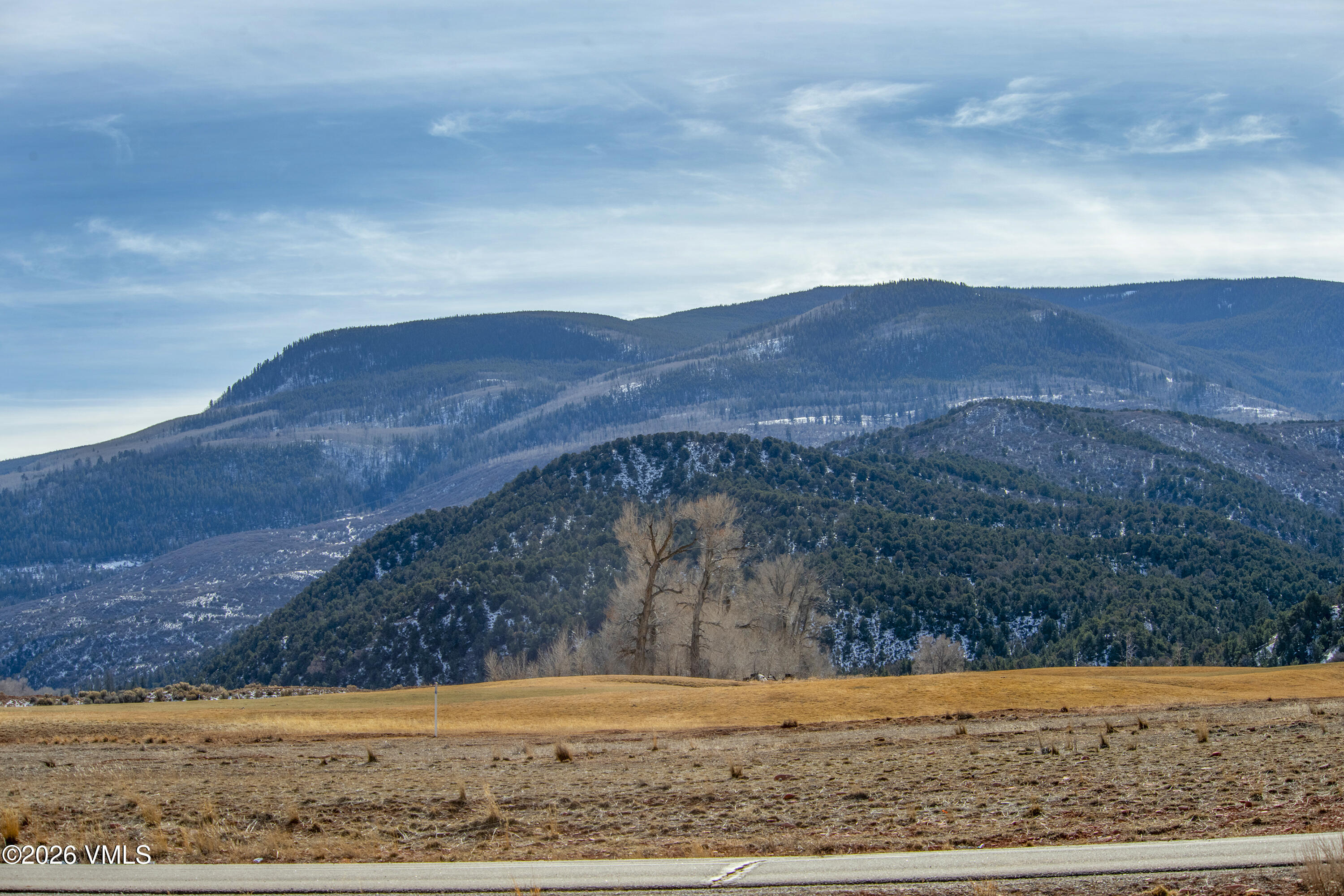 232 Tallgrass Gypsum, CO 81637 - Photo 11 of 18 232-Tallgrass-MLS_21