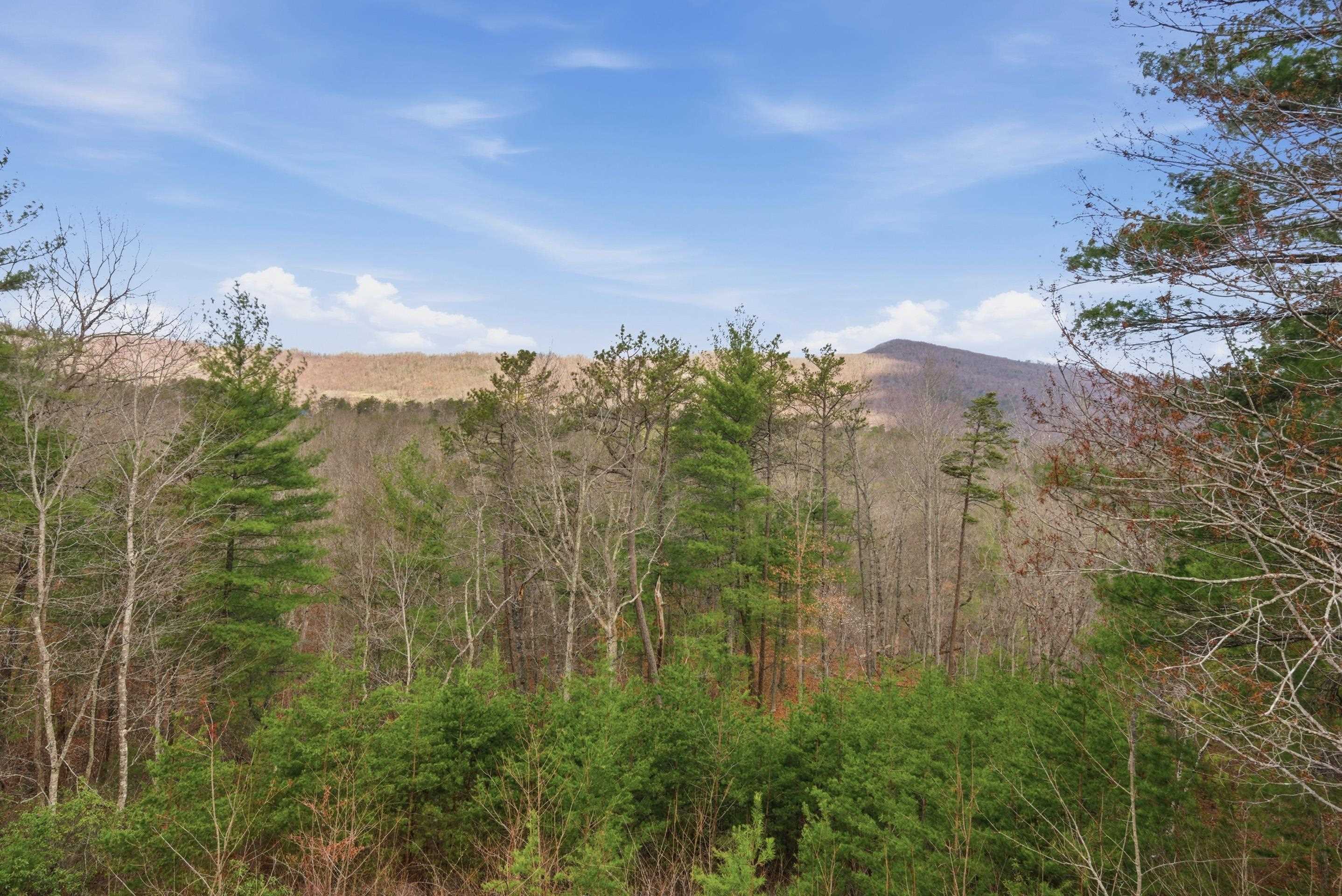 2925 New Ridge Road Elliston, VA 24087 - Photo 24 of 76 Gallery Image 24