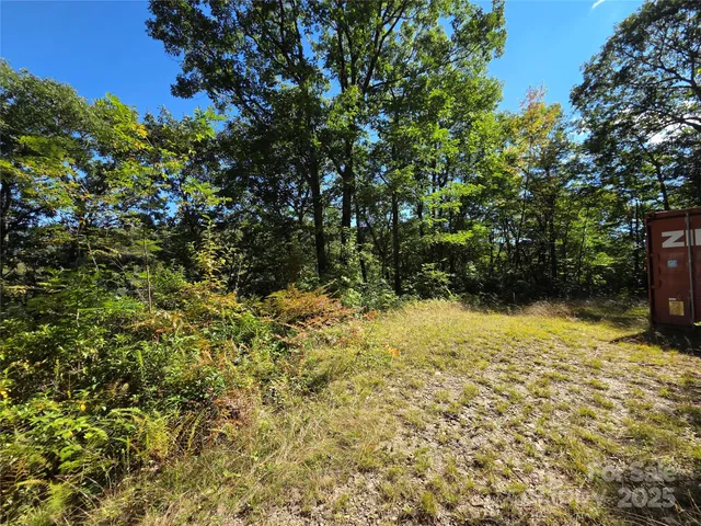a view of a backyard with large trees