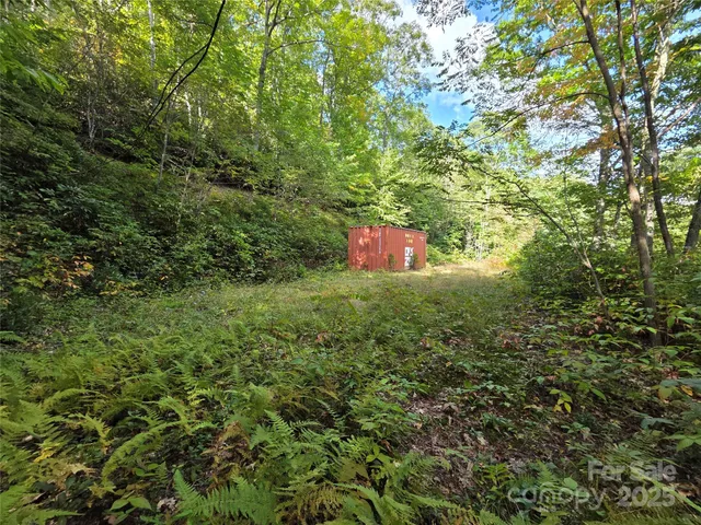 a view of a yard with a tree