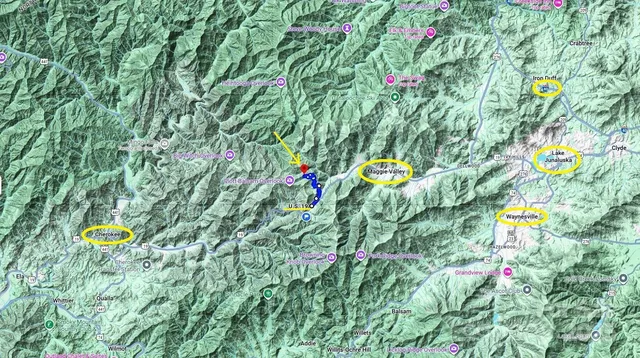 a view of a bunch of trees