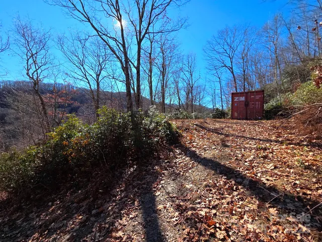 a view of a yard with plants and trees