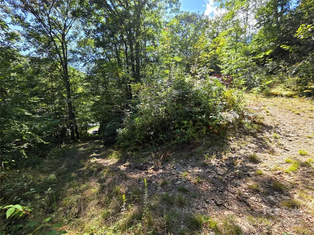 a view of a back yard