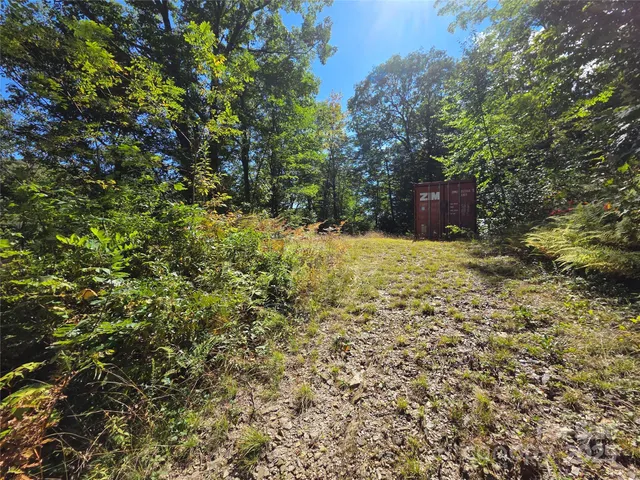 a view of a yard with plants and tree