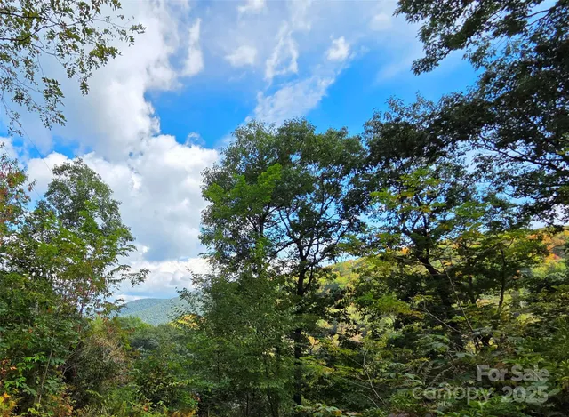 a view of a back yard