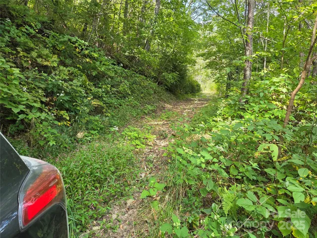 a view of backyard with potted plants and wooden fence