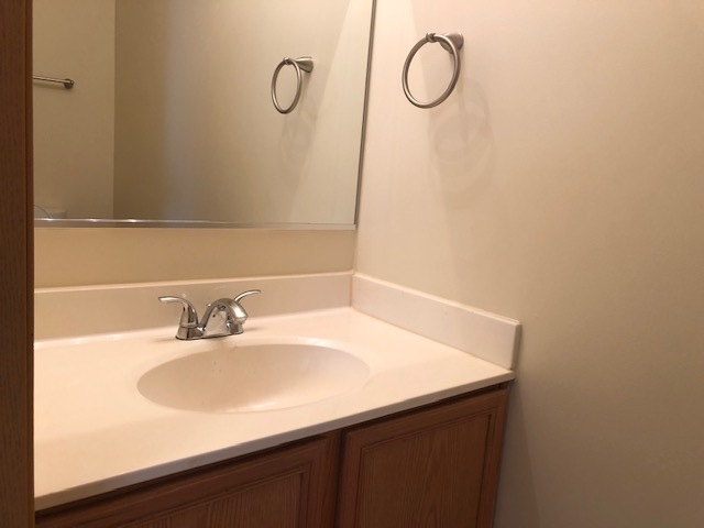 420 Kelly Court Romeoville, IL 60446 - Photo 28 of 30 a bathroom with a sink vanity and a mirror
