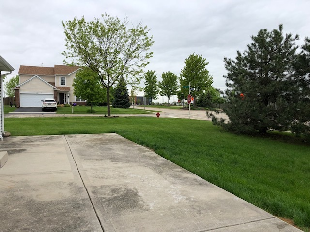 420 Kelly Court Romeoville, IL 60446 - Photo 6 of 30 a view of a park with a large trees