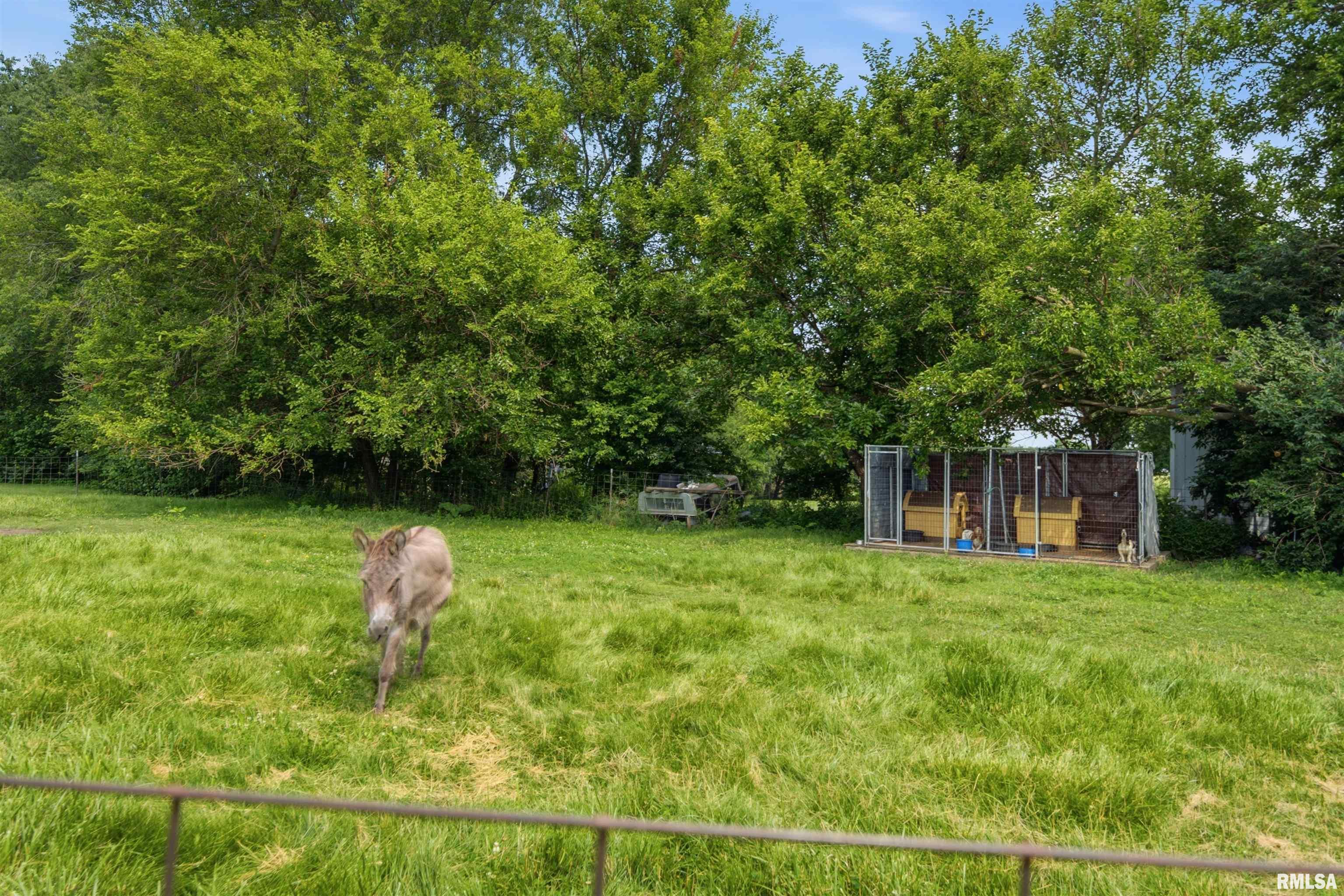 12806 North Whittaker Road Brimfield, IL 61517 - Photo 42 of 61