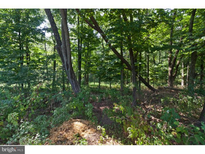 73 Covered Bridge Road New Hope, PA 18938 - Photo 15 of 25 Gallery Image 15