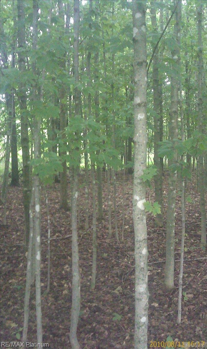 Vl Turner Road Fenton, MI 48430 - Photo 1 of 14 IMAGE_073