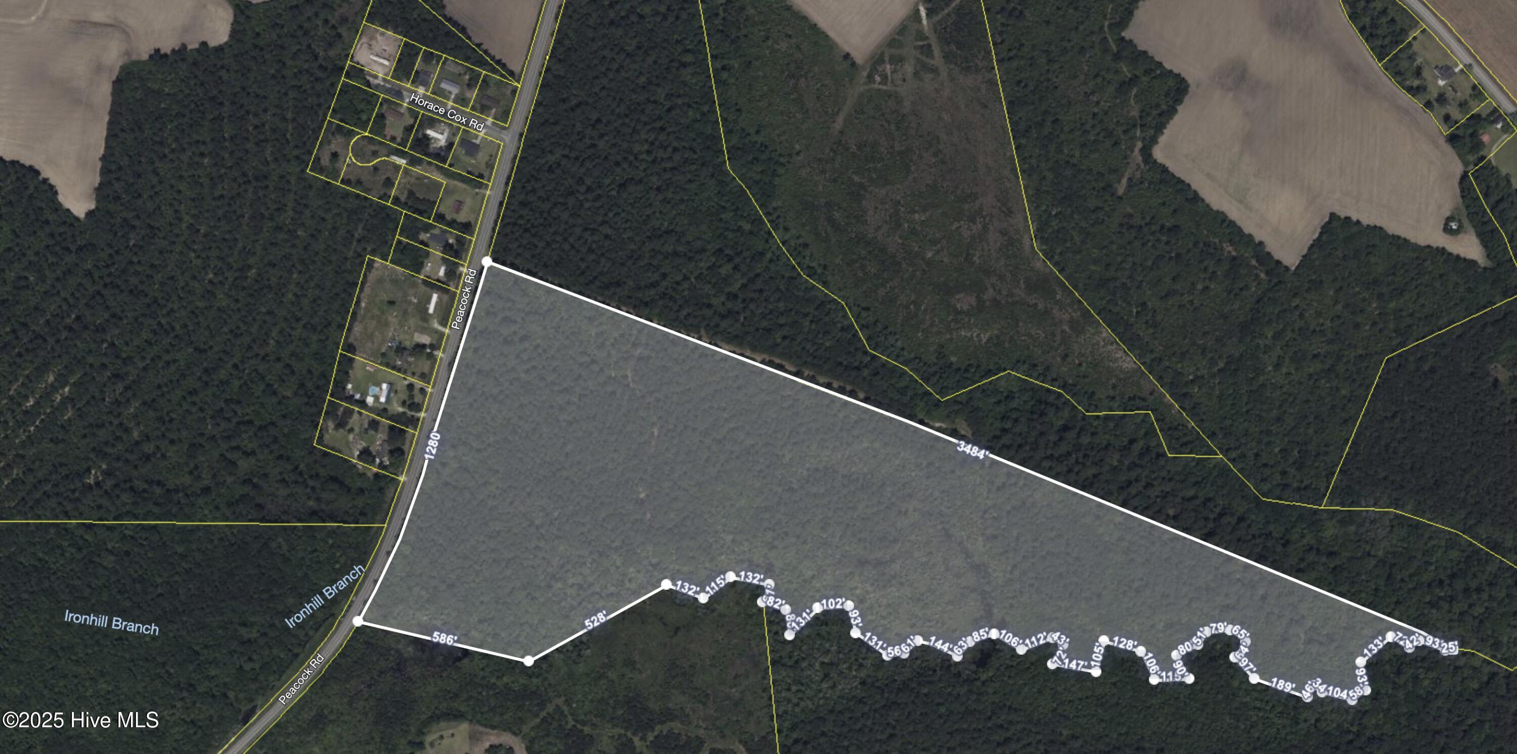 22984 Peacock Road Tabor City, NC 28463 - Photo 2 of 2 Satellite Overview