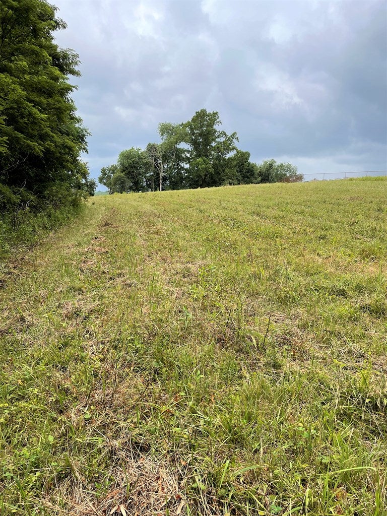 . Hemlock Ridge Road Hillsville, VA 24343 - Photo 16 of 17 Gallery Image 16