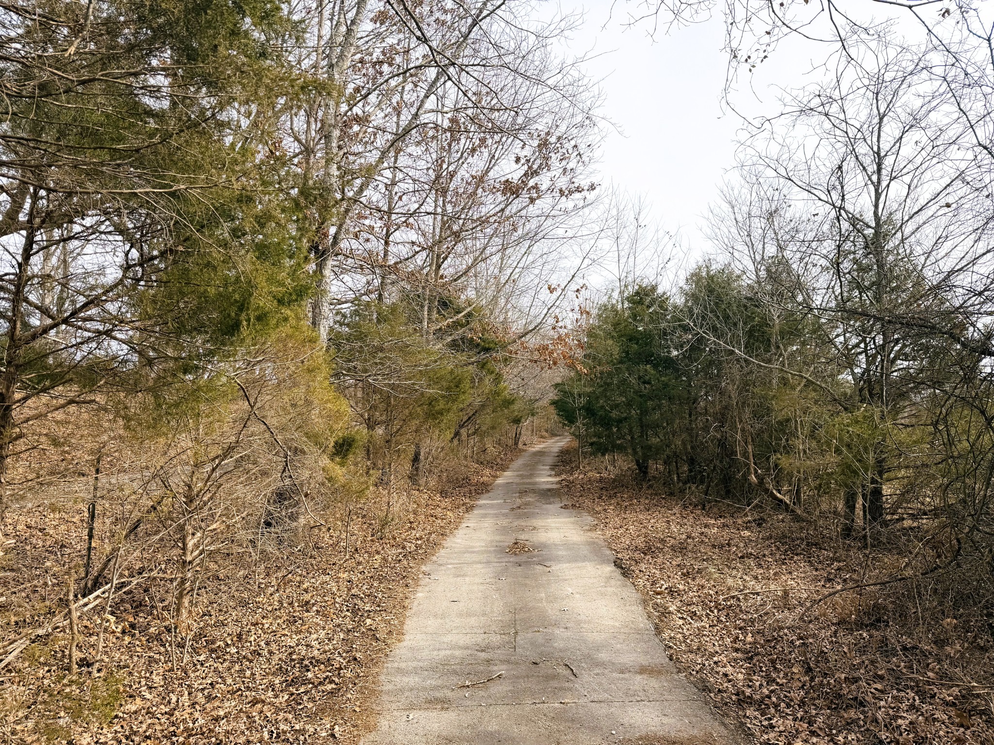 1 Rock Bridge Road Bethpage, TN 37022 - Photo 14 of 18 a view of a pathway both side of yard