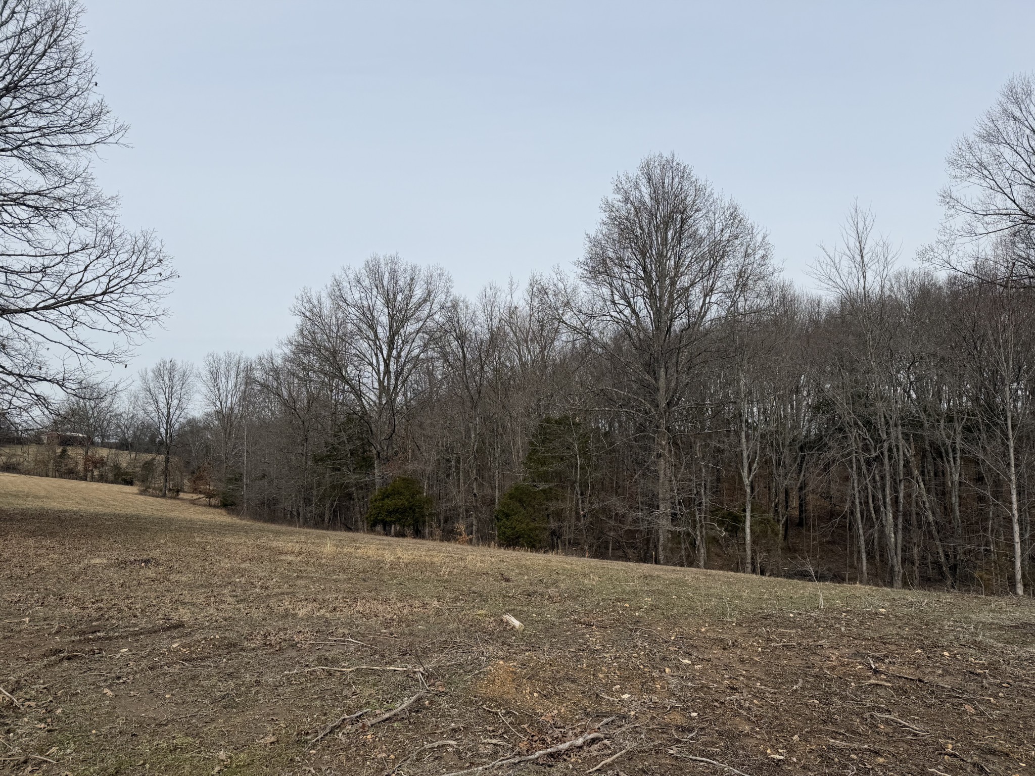 1 Rock Bridge Road Bethpage, TN 37022 - Photo 16 of 18 a backyard of a house with trees