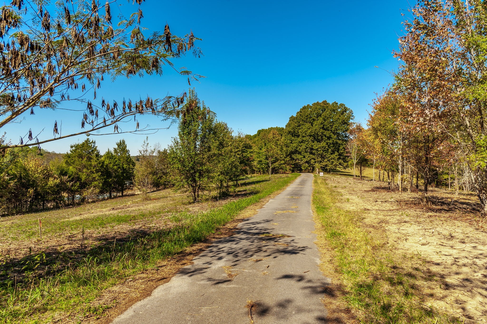 1 Rock Bridge Road Bethpage, TN 37022 - Photo 7 of 18 a view of a yard with swimming pool