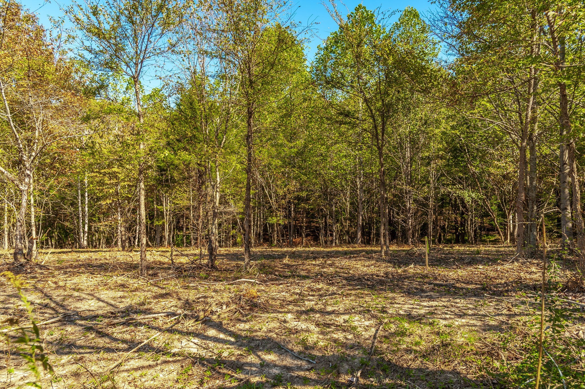 1 Rock Bridge Road Bethpage, TN 37022 - Photo 9 of 18 a backyard of a house with lots of green space and fountain