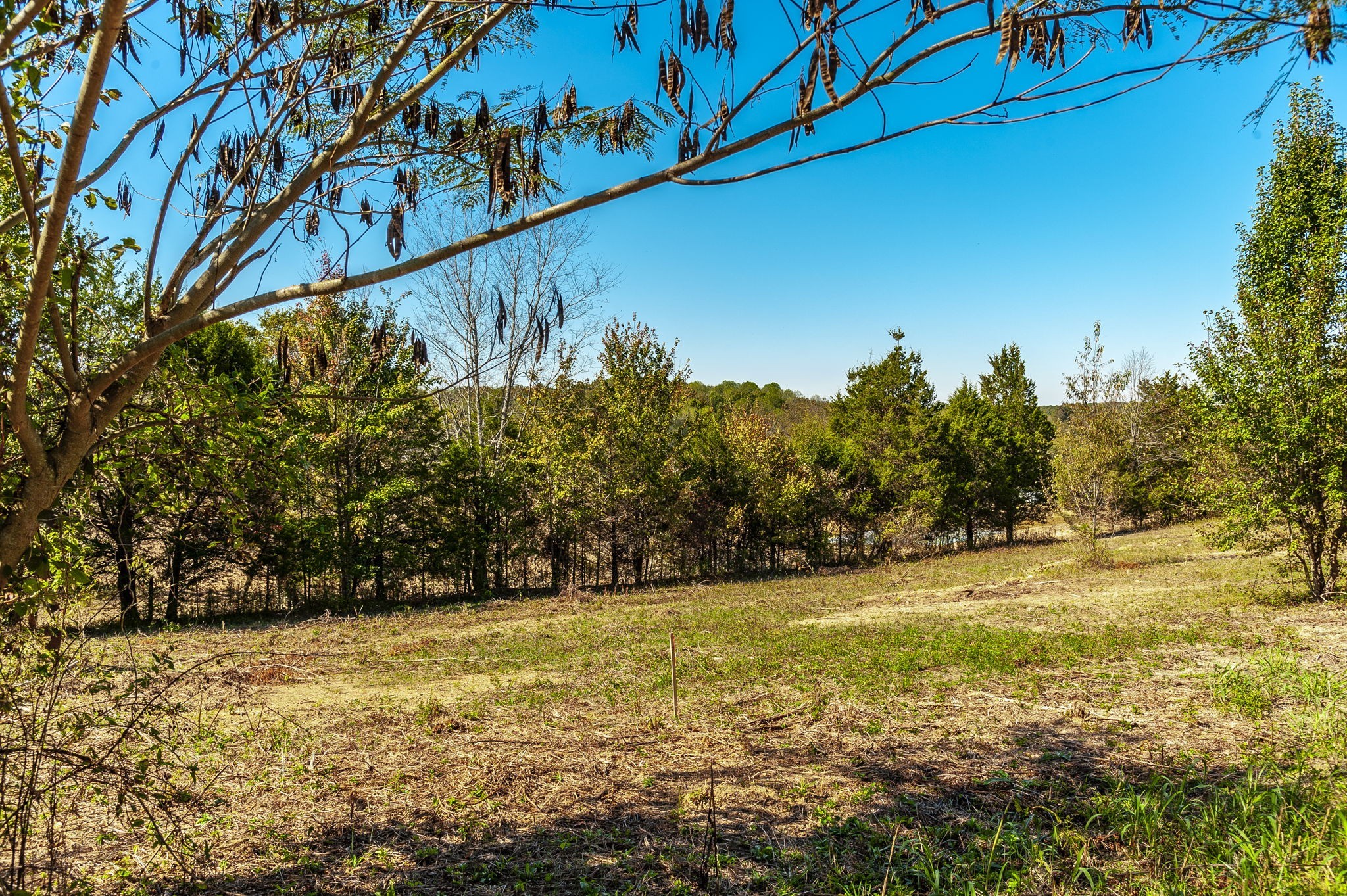 1 Rock Bridge Road Bethpage, TN 37022 - Photo 10 of 18 a view of an outdoor space