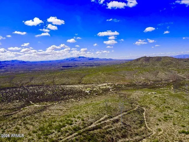 a view of a city with lush green forest