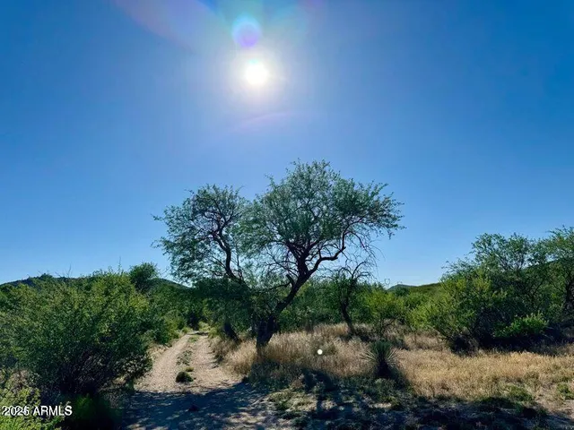 a view of a lake with a yard