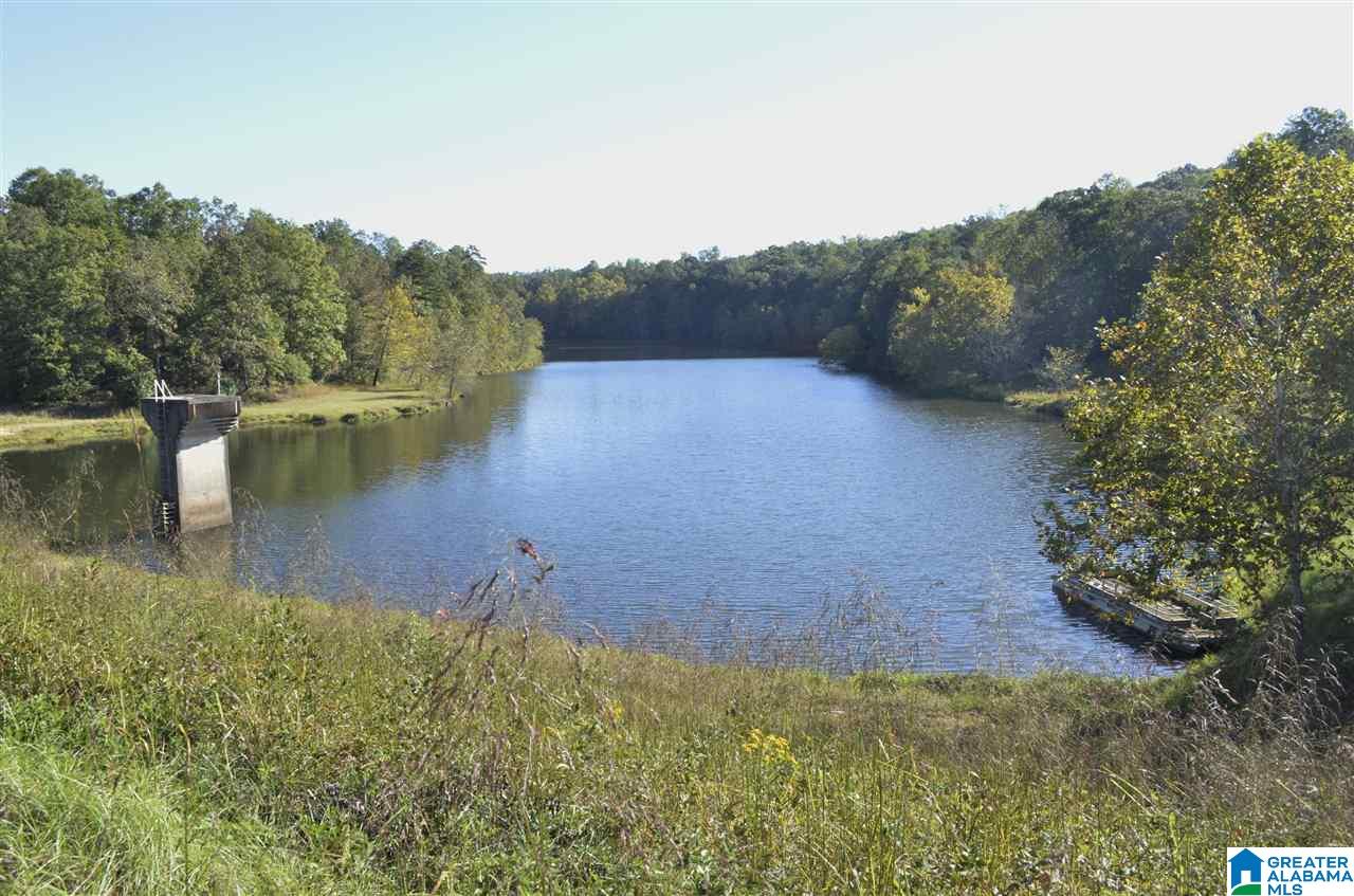 516 Wilson Mine Road Piedmont, AL 36272 - Photo 22 of 35